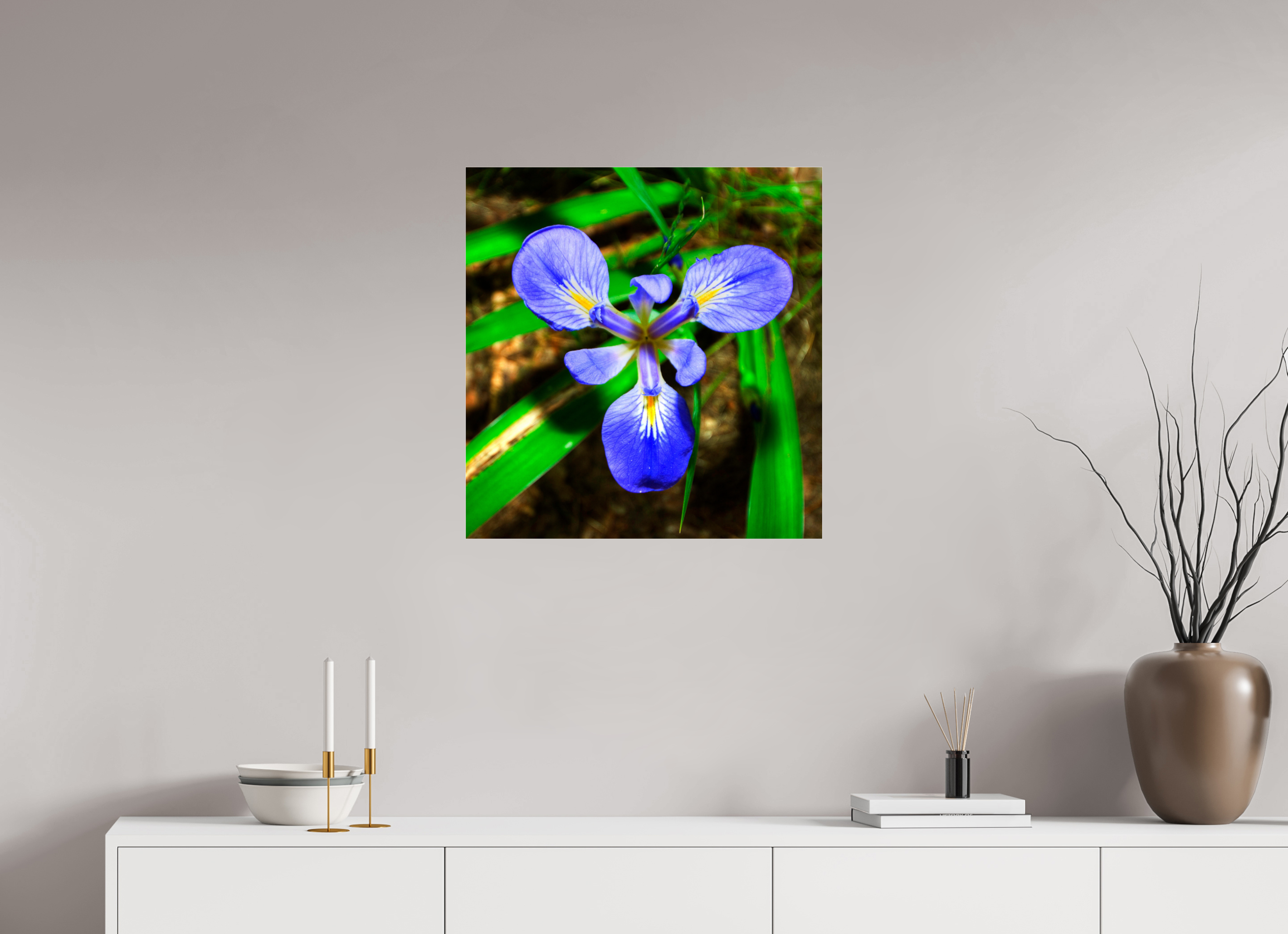 24 x 25″, Photo Print Under Acrylic Glass Blue Flag Iris - Photo under Acrylic Glass