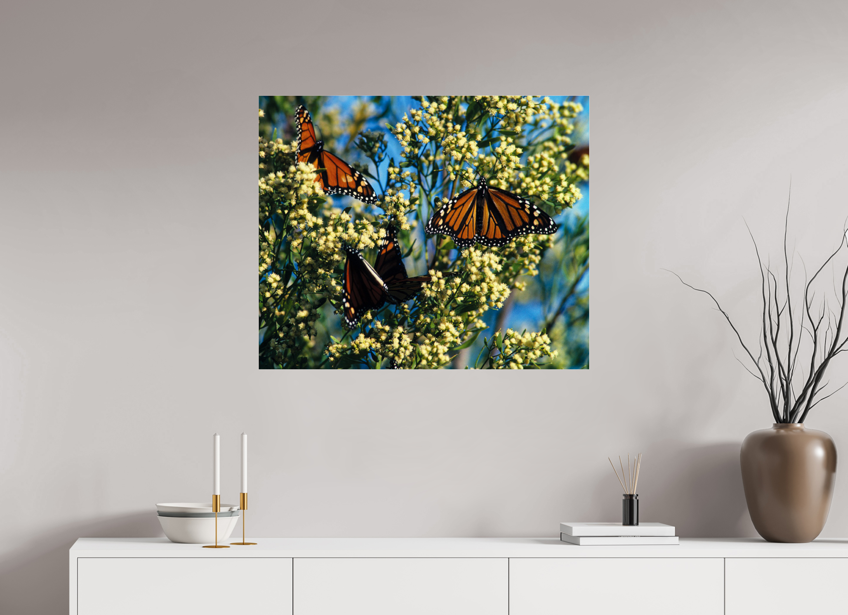 33.8 x 28″, Photo Print Under Acrylic Glass Butterfly Migration - Blakeley Island - Photo under Acrylic Glass