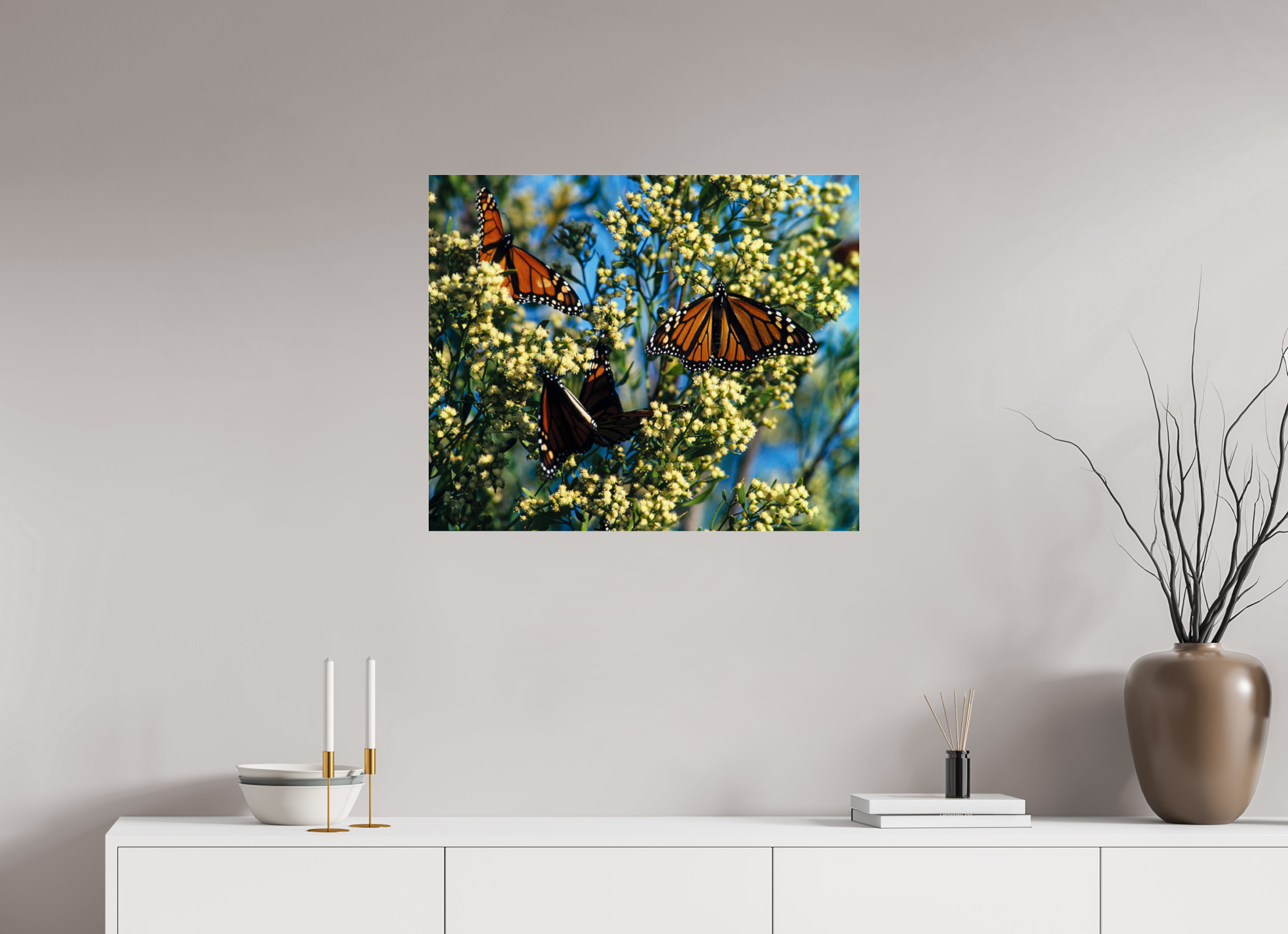 29 x 24″, Photo Print Under Acrylic Glass Butterfly Migration - Blakeley Island - Photo under Acrylic Glass