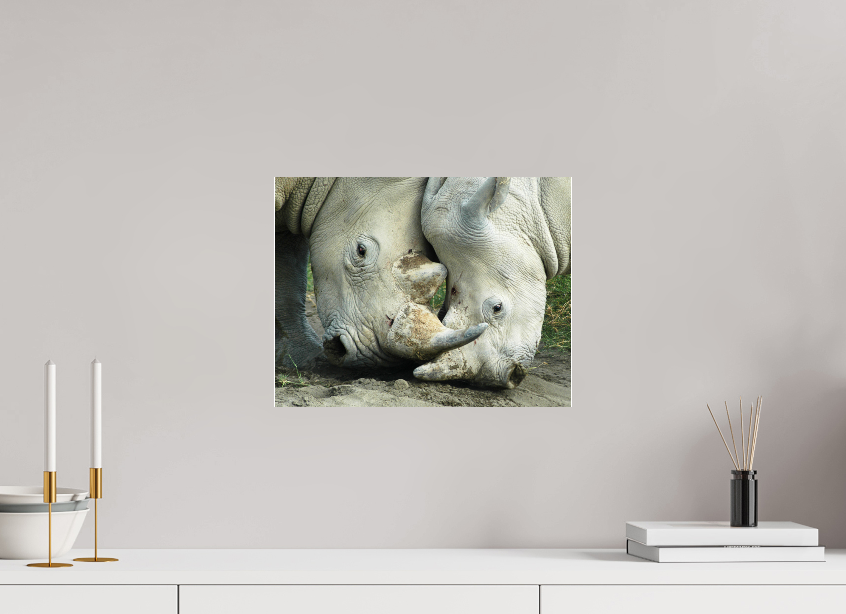 15.5 x 12″, Photo Print Under Acrylic Glass Rhino Battle under Acrylic Glass