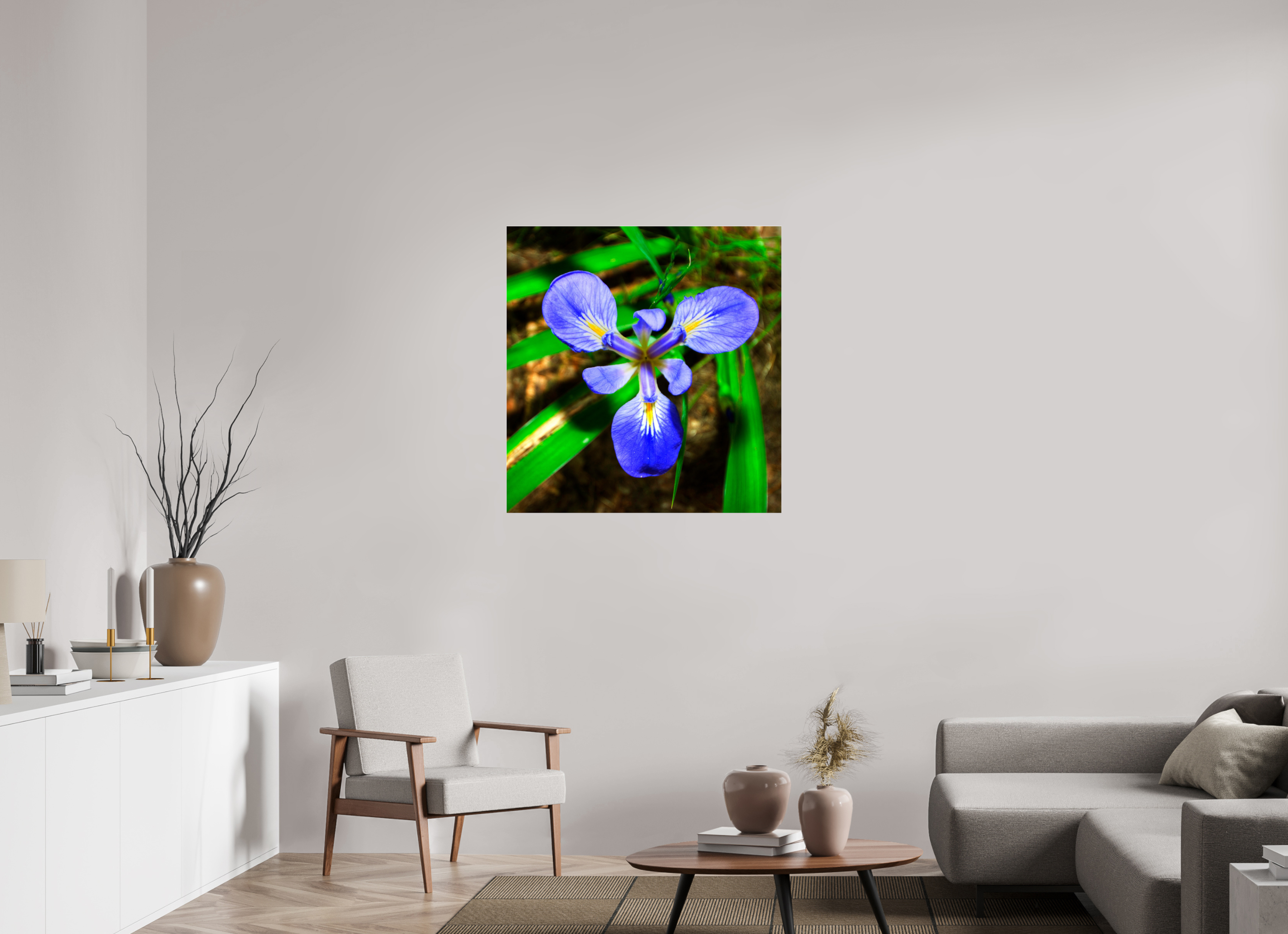 35 x 36.5″, Photo Print Under Acrylic Glass Blue Flag Iris - Photo under Acrylic Glass