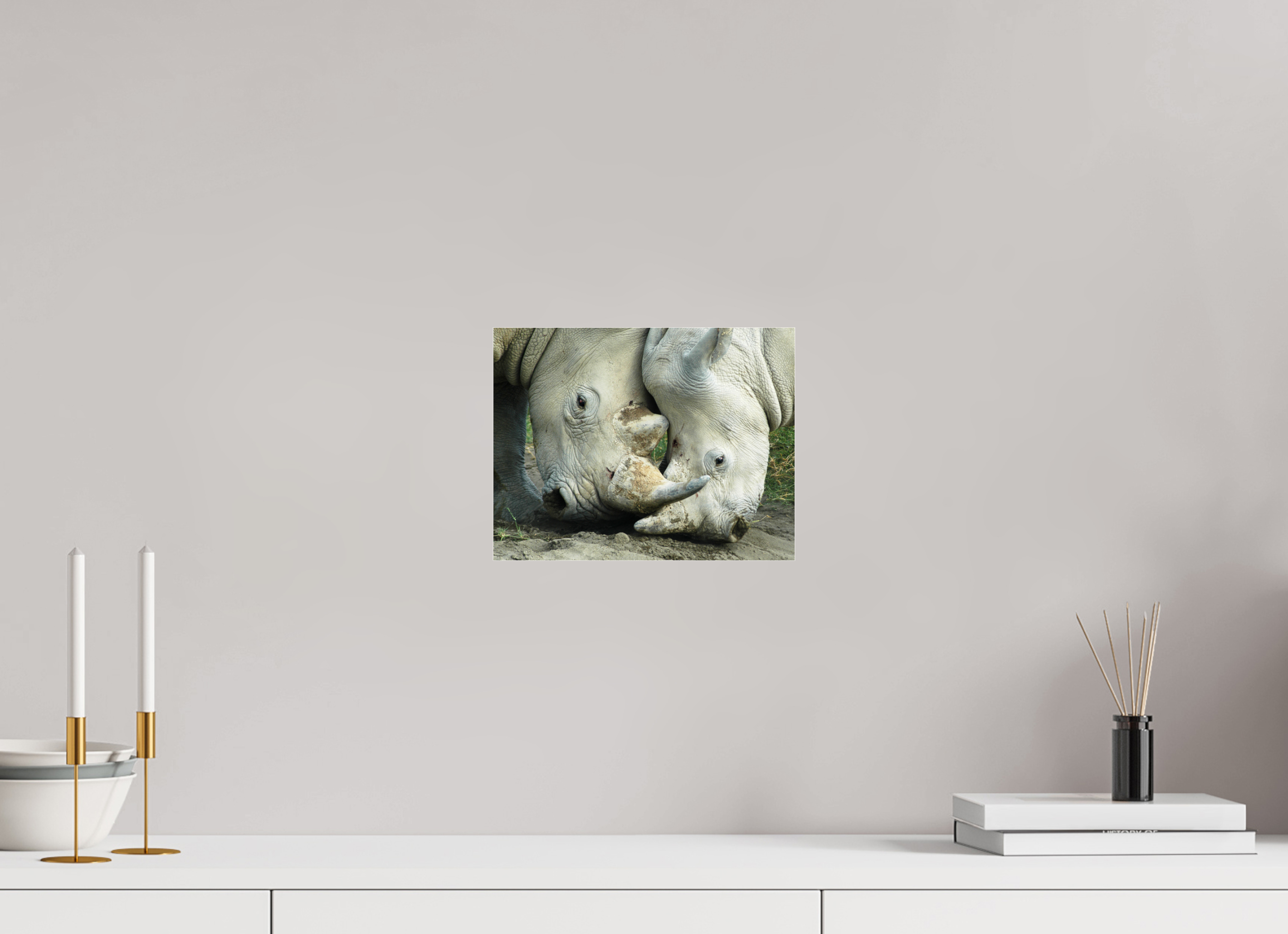 10.4 x 8″, Photo Print Under Acrylic Glass Rhino Battle under Acrylic Glass