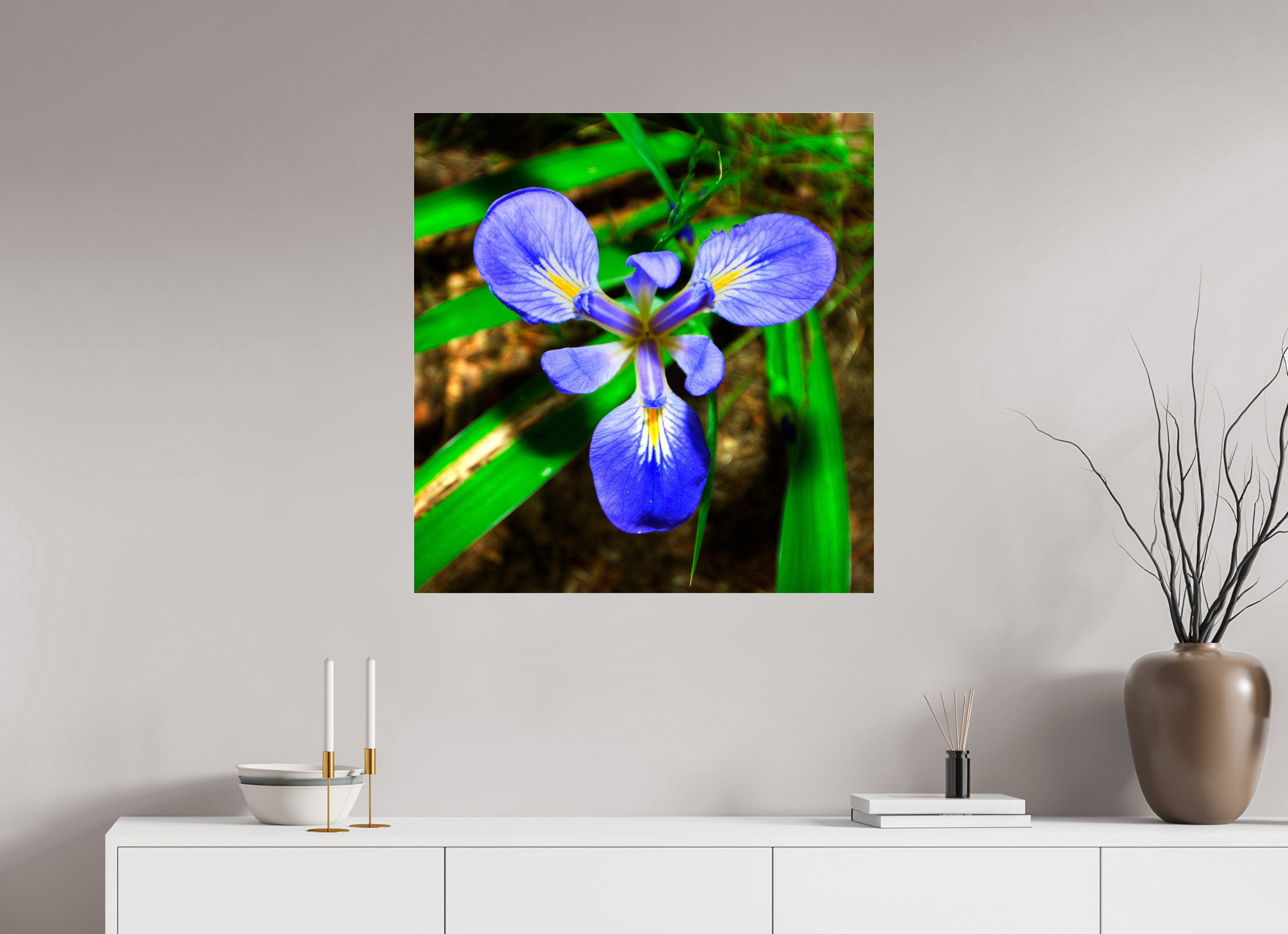 31 x 32.4″, Photo Print Under Acrylic Glass Blue Flag Iris - Photo under Acrylic Glass