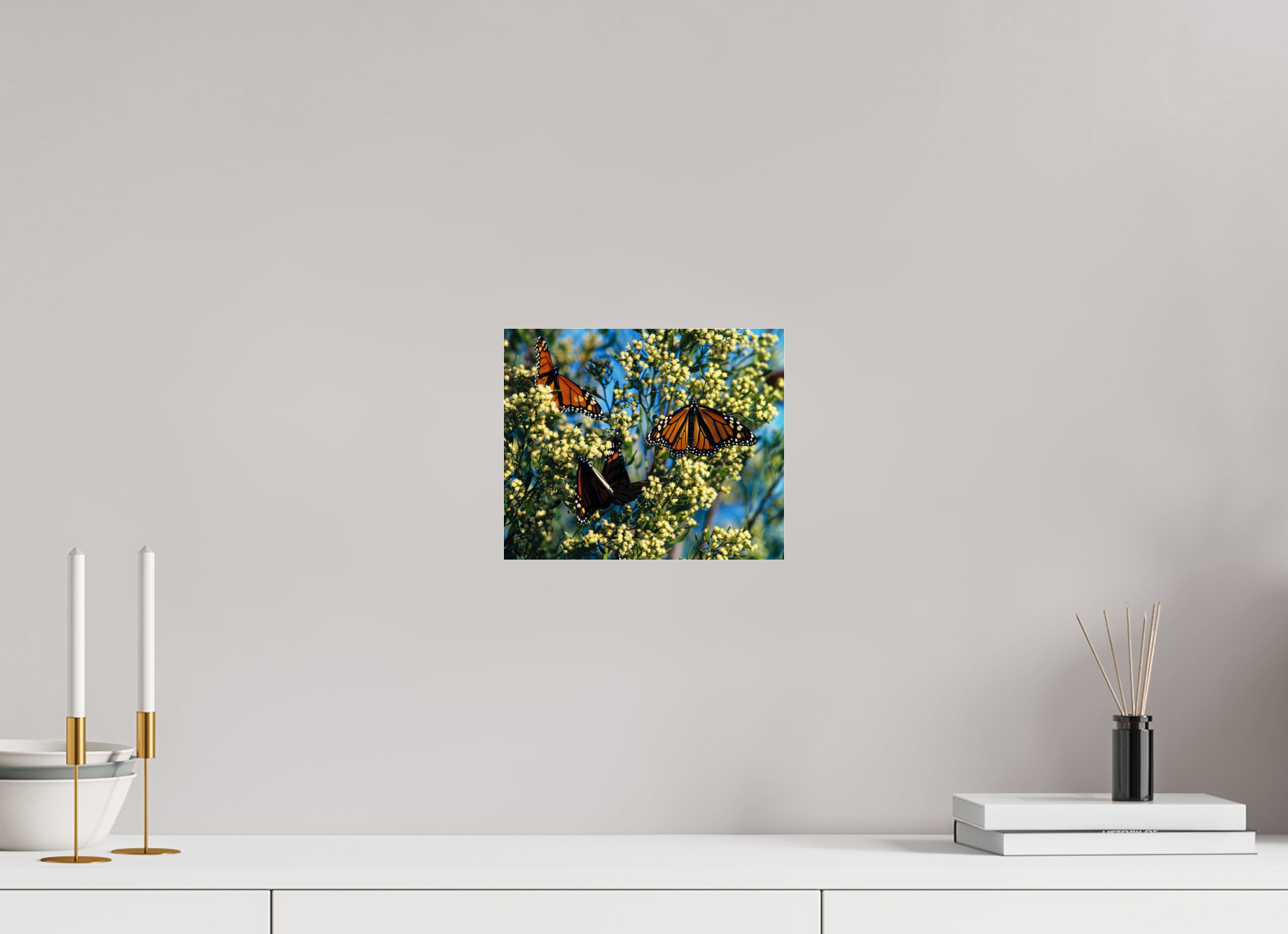 9.7 x 8″, Photo Print Under Acrylic Glass Butterfly Migration - Blakeley Island - Photo under Acrylic Glass