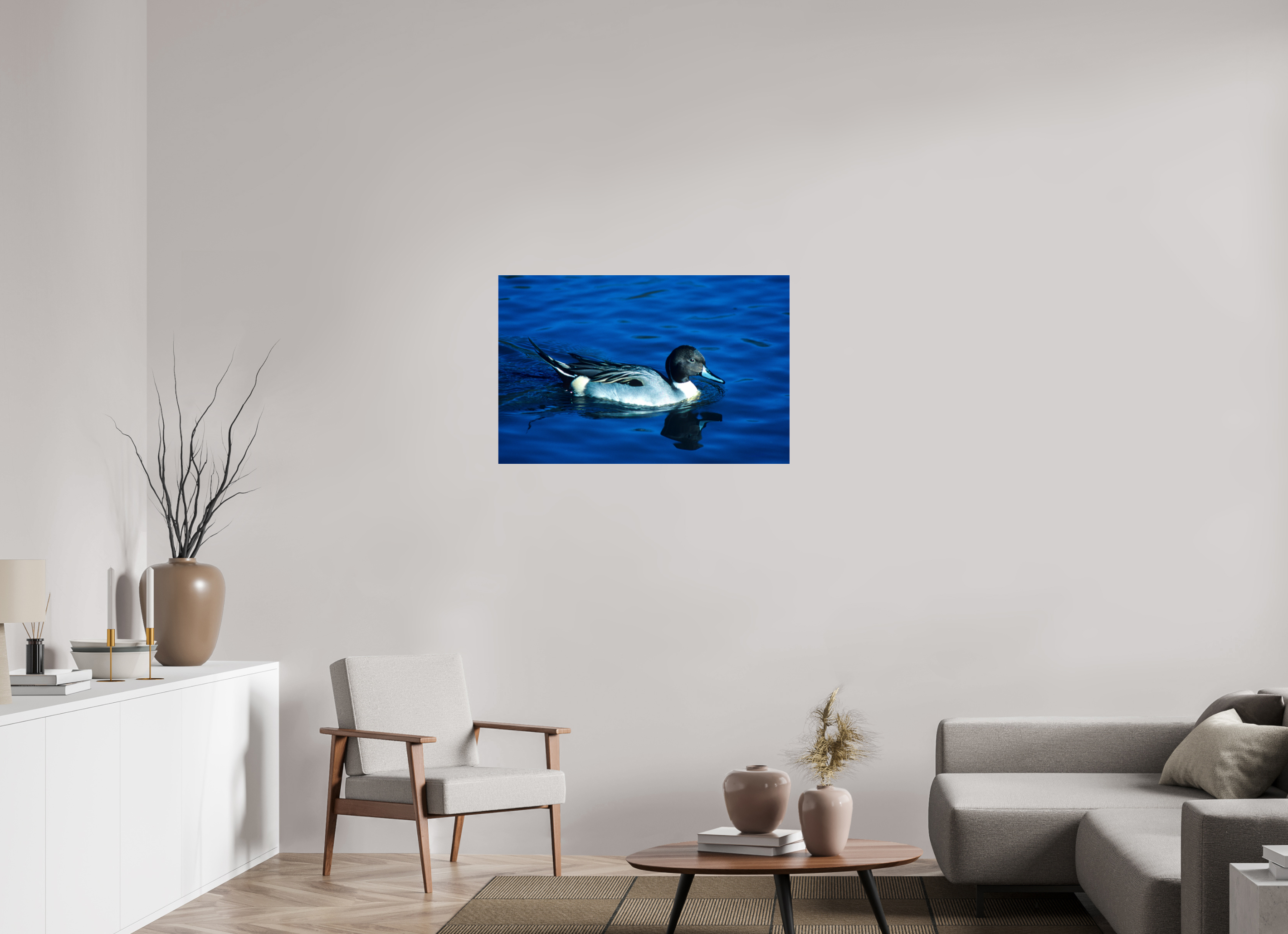 37.1 x 24″, Photo Print Under Acrylic Glass Pintail Duck - Lake