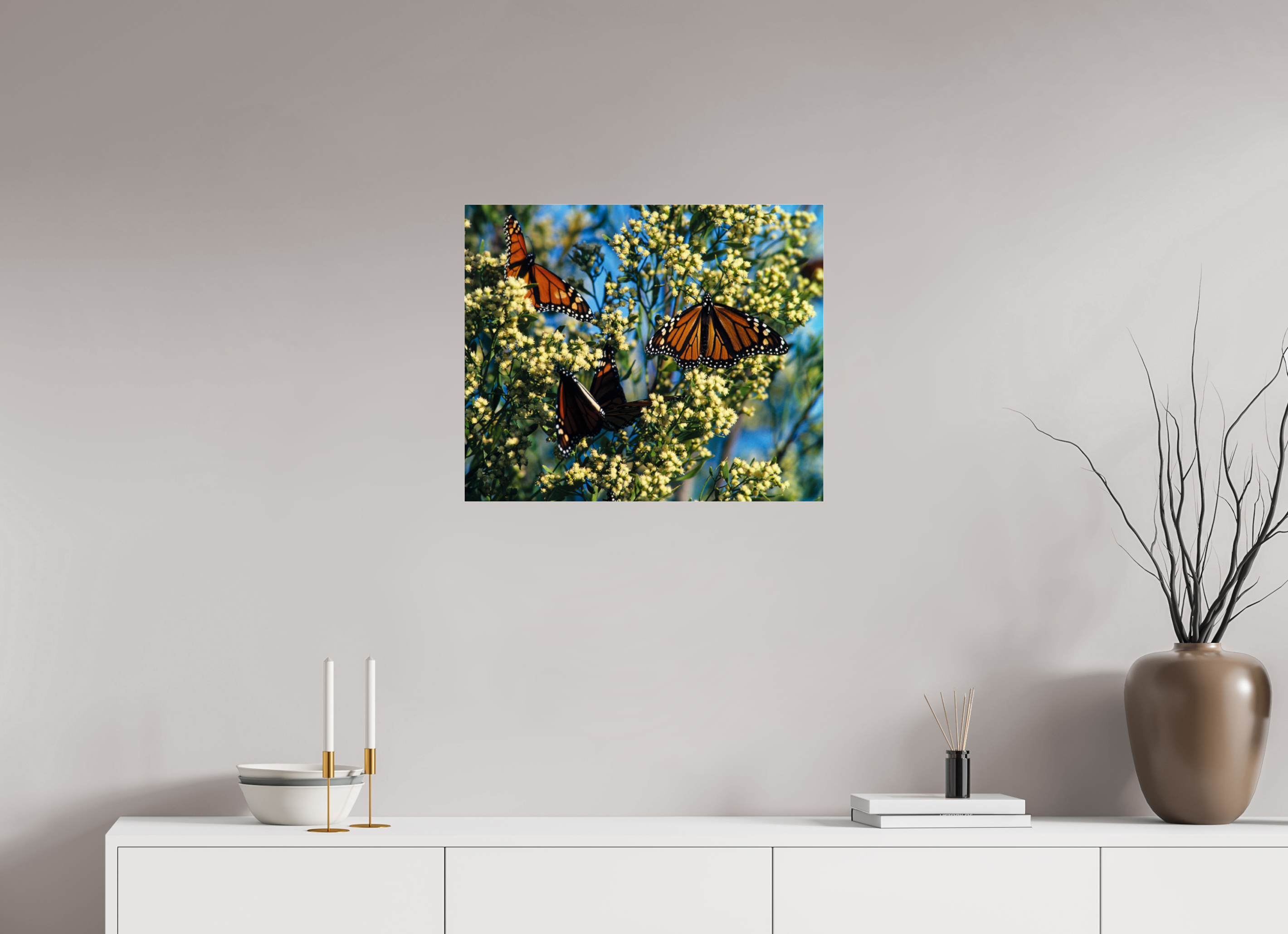 24.2 x 20″, Photo Print Under Acrylic Glass Butterfly Migration - Blakeley Island - Photo under Acrylic Glass