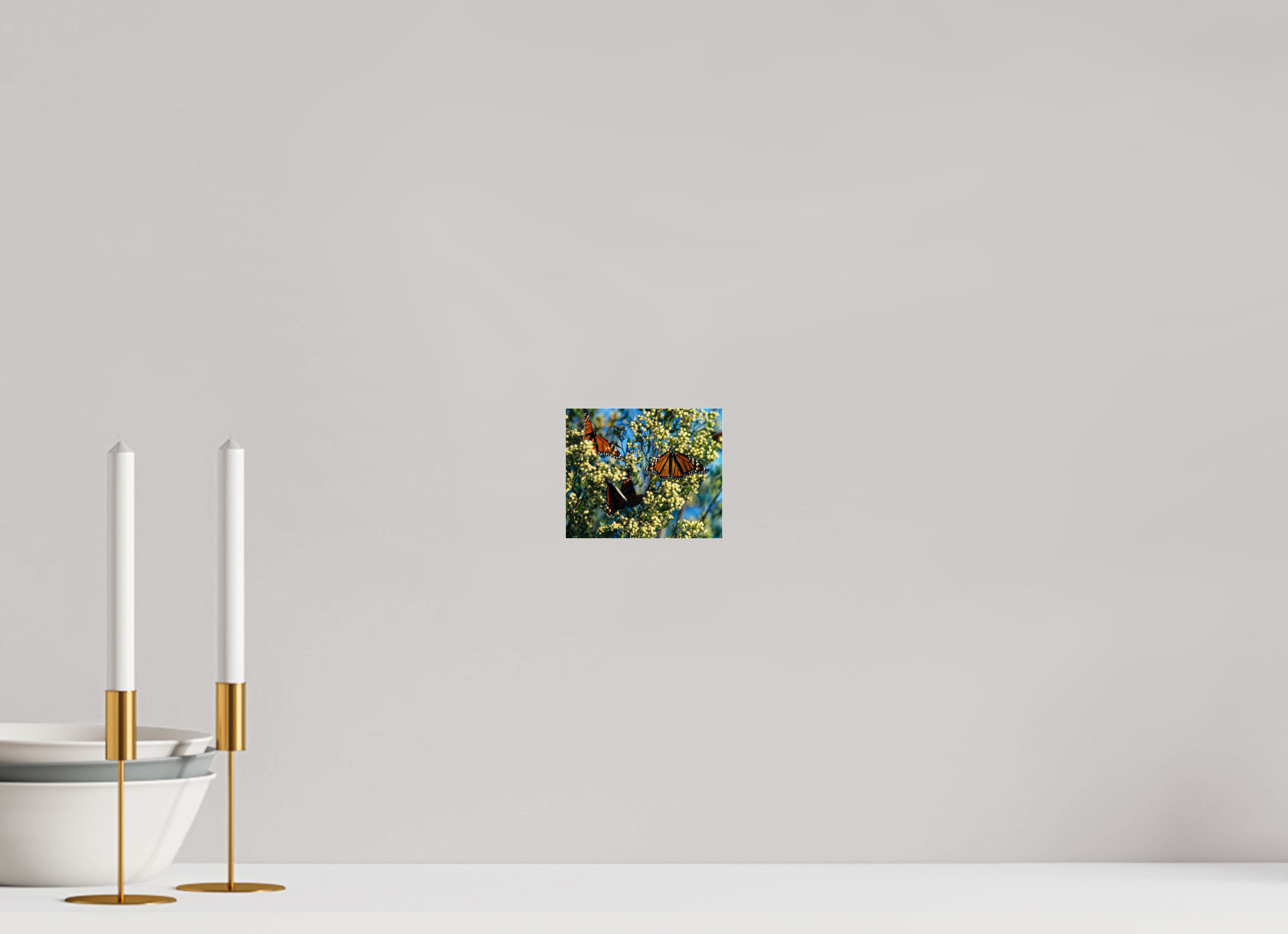 4.8 x 4″, Photo Print Under Acrylic Glass Butterfly Migration - Blakeley Island - Photo under Acrylic Glass