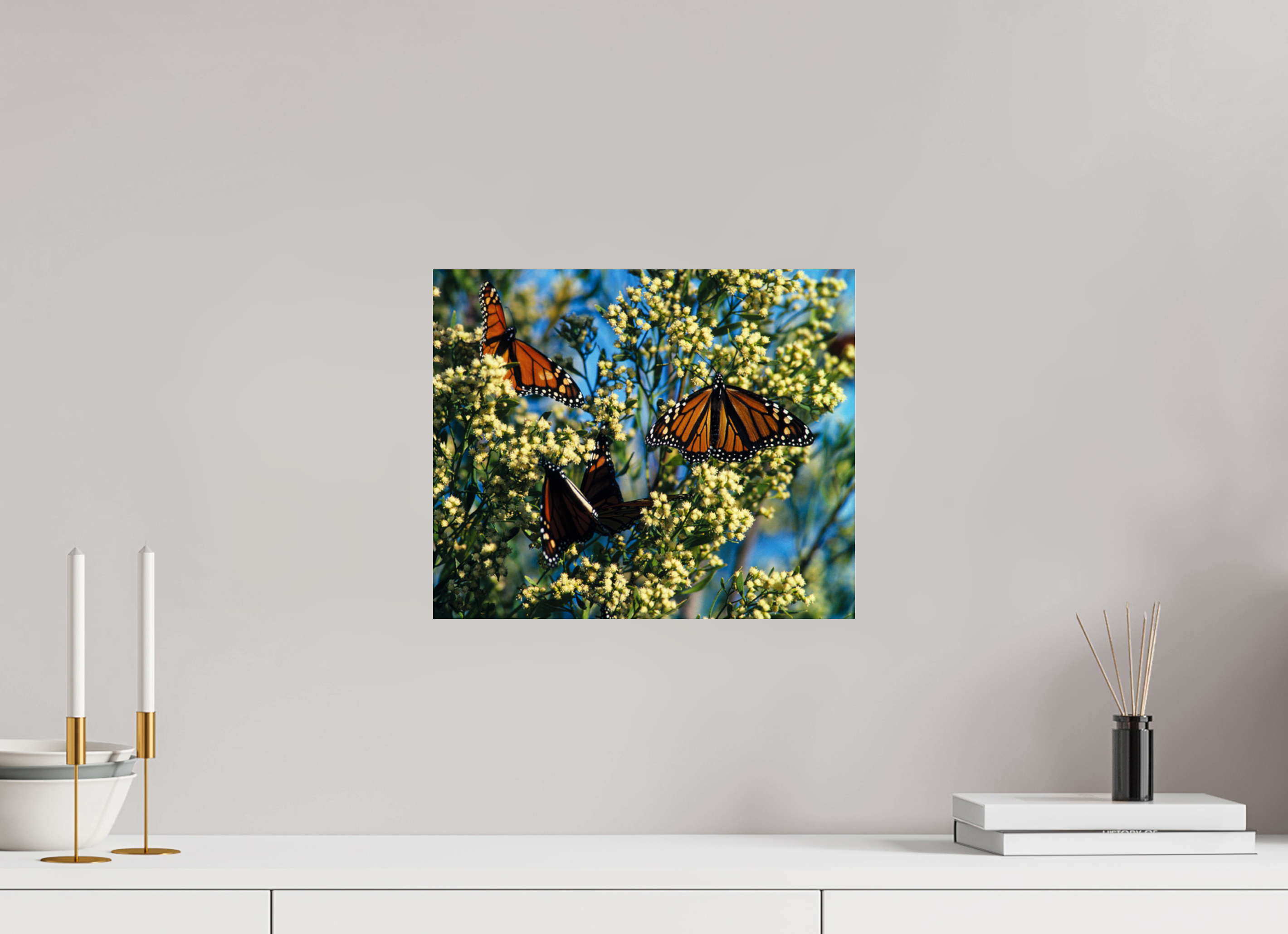 14.5 x 12″, Photo Print Under Acrylic Glass Butterfly Migration - Blakeley Island - Photo under Acrylic Glass