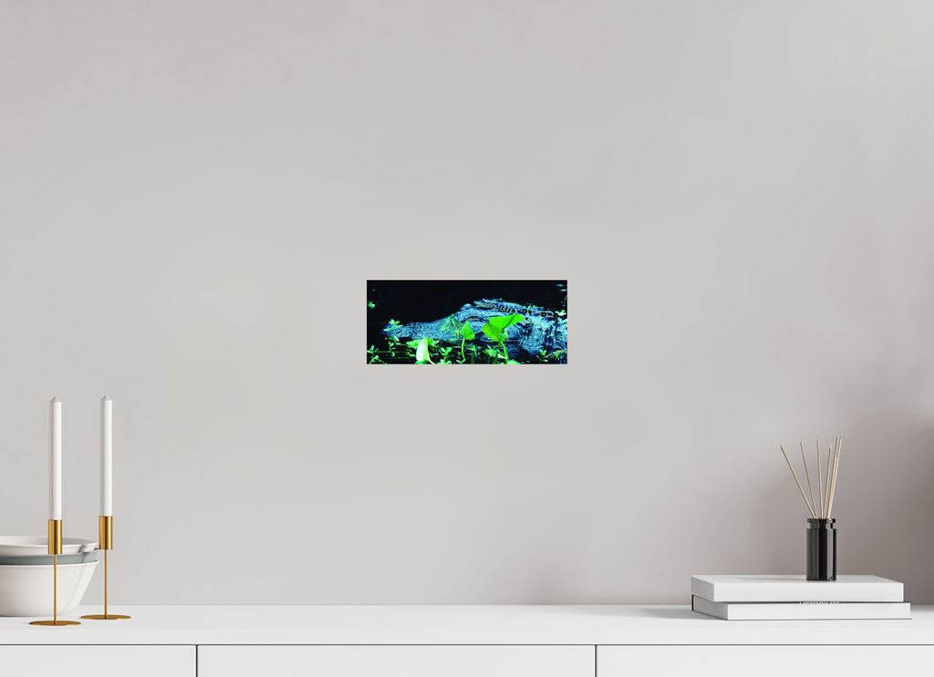 9.6 x 4″, Photo Print Under Acrylic Glass Mama Gator w/ Baby - Photo under Acrylic Glass