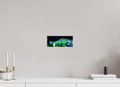 9.6 x 4″, Photo Print Under Acrylic Glass Mama Gator w/ Baby - Photo under Acrylic Glass